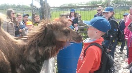 20170602_114239.jpg