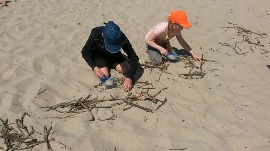 20170606_120019.jpg