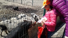20170602_111312.jpg