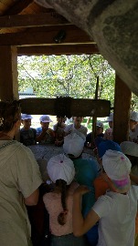 IMG_20180705_114017.jpg