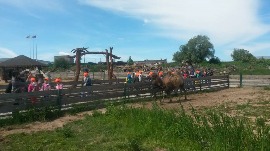 20170602_114439.jpg