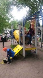 20170616_114007.jpg