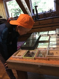 IMG_5578.JPG