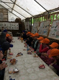IMG_5589.JPG