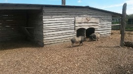 20170602_114921.jpg