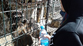 20170602_105426.jpg
