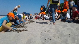 20170606_111533.jpg