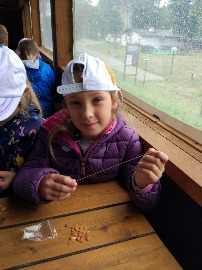 IMG_20180703_112554.jpg
