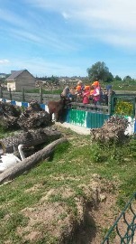 20170602_114839.jpg