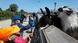 20170602_113533.jpg