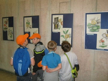IMG_2478.JPG