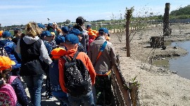 20170602_110723.jpg