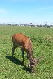 20170602_111319.jpg