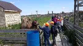 20170602_114909.jpg