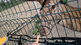 20170602_110959.jpg