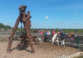 20170602_113913.jpg