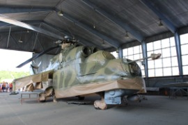 IMG_4561 (Средний).JPG