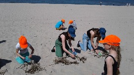 20170606_113234.jpg
