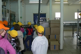 P1420149.JPG