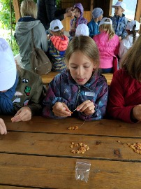 IMG_20180703_112623.jpg