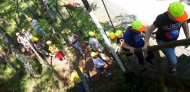 20190605_112959 (Средний).jpg