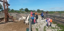 20170602_113943.jpg