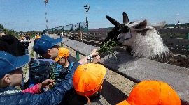 20170602_113523.jpg