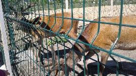 20170602_111123.jpg