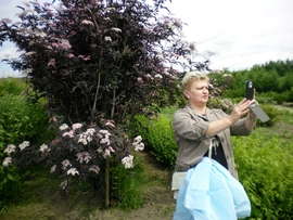 SANY0136.JPG