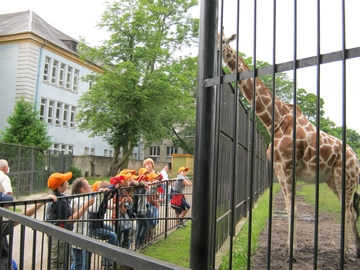 04.07 В зоопарке\IMG_2889.JPG