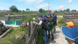 20170602_115021.jpg