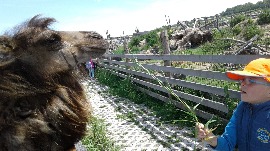 20170602_114949.jpg