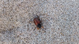 20170606_105505.jpg