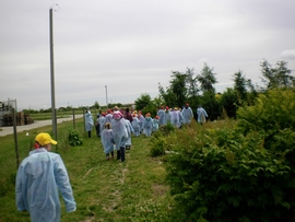 SANY0117.JPG