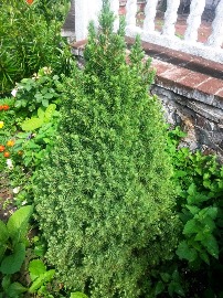 20160705_105848.jpg