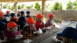 20170602_120724.jpg
