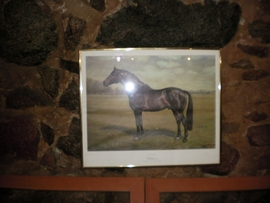 SANY0061.JPG