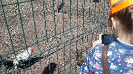 20170602_112604.jpg