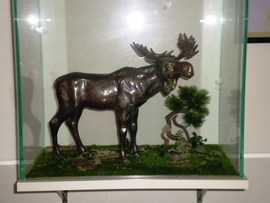 SANY0079.JPG