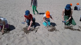 20170606_113230.jpg