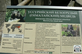 P1410872.JPG