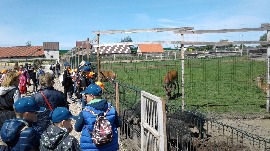 20170602_111556.jpg