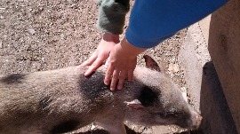 20170602_110254.jpg