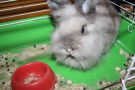 Кушнир Глеб, 7 лет; Любопытный взгляд