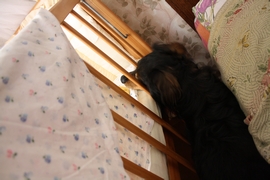 Кушнир Глеб, 7 лет; Мне хорошо