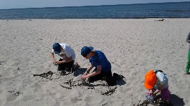 20170606_113247.jpg
