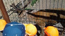 20170602_110823.jpg