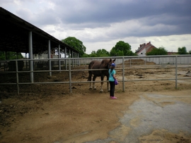 SANY0003.JPG