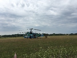 IMG_6873.JPG