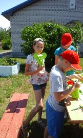 20160701_120446.jpg